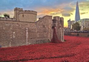 Poppies at the Tower of London and The Shard